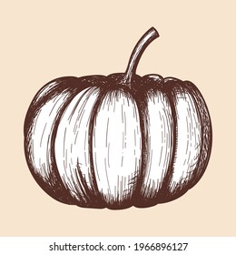 Pumpkin Icon. Hand Drawn Sketch Design. Vector Illustration.