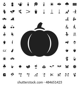 Pumpkin icon illustration isolated vector sign symbol
