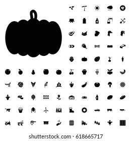 Pumpkin icon illustration isolated vector sign symbol. agriculture icons vector set on white background.