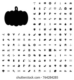 Pumpkin icon illustration isolated vector sign symbol. agriculture icons set for web and mobile.