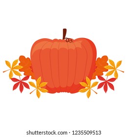Pumpkin icon image