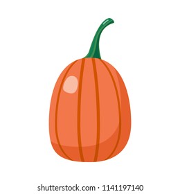 Pumpkin icon isolated on white background. Element for your design works. Flat style vector illustration