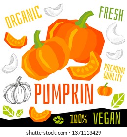 Pumpkin icon label fresh organic vegetable, vegetables nuts herbs spice condiment color graphic design vegan food. Hand drawn vector illustrations.