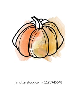 Pumpkin icon or logo in flat style. Vegetable from the garden. Organic food. Vector illustration pumpkin.