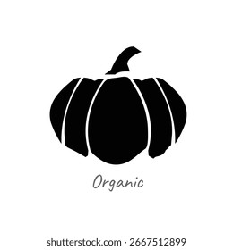 pumpkin icon on white background.organic vegetable farm design-vector illustration.