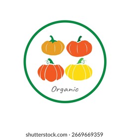 pumpkin icon on white background.organic vegetable farm design-vector illustration.