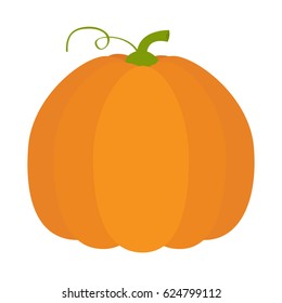 Pumpkin icon. Orange color. Vegetable collection. Fresh farm healthy food. Education card for kids. Halloween symbol. Flat design. White background. Isolated. Vector illustration