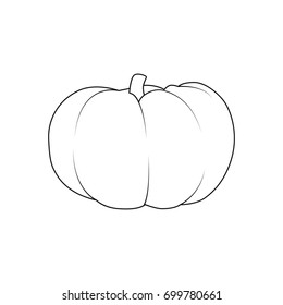 Pumpkin icon in outline style for web, print and creative design