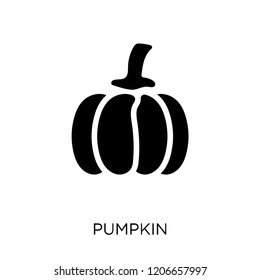 Pumpkin icon. Pumpkin symbol design from Agriculture, Farming and Gardening collection. Simple element vector illustration on white background.