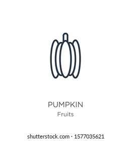 Pumpkin icon. Thin linear pumpkin outline icon isolated on white background from fruits collection. Line vector sign, symbol for web and mobile