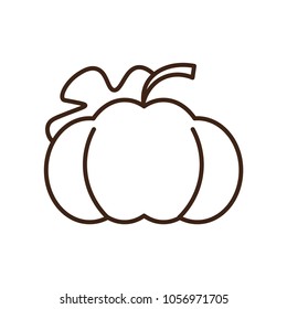 pumpkin icon vector