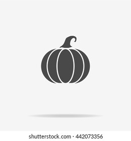 Pumpkin icon. Vector concept illustration for design.