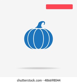 Pumpkin icon. Vector concept illustration for design.