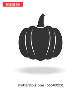 Pumpkin icon, Vector illustration.