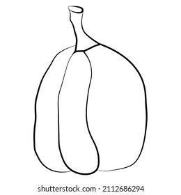 Ilustración vectorial de icono de calabaza. Símbolo de calabaza de Halloween de otoño o de Acción de Gracias en diseño plano, silueta simple, de contorno aislada en fondo blanco