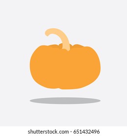 Pumpkin icon, vector illustration design. Vegetables collection.