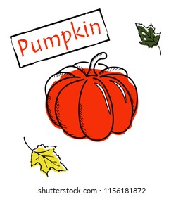 Pumpkin icon vector illustration on white background