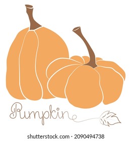 Pumpkin icon vector illustration set and handdrawn lettering. Autumn Halloween or Thanksgiving pumpkin symbol in flat design, simple, outline silhouette isolated on white background
