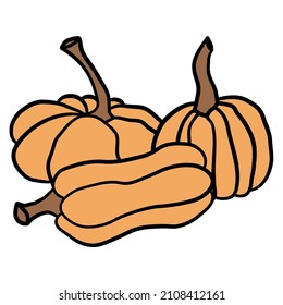 Pumpkin icon vector illustration set. Autumn Halloween or Thanksgiving pumpkin symbol in flat design, simple, outline silhouette isolated on white background