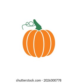 Pumpkin icon vector illustration sign
