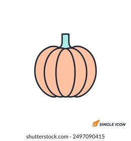 Pumpkin icon vector illustration. Pumpkin symbol isolated on white background