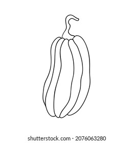 Pumpkin icon or zucchini, in simple line drawings. Vector illustration of pumpkin for Halloween or harvest, badges for labels, packaging