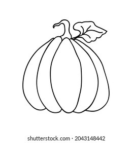 Iconos de calabaza de fruta grande con hoja, en dibujos simples de línea. Ilustración vectorial de calabaza para Halloween o cosecha, insignias para etiquetas, embalaje