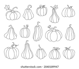 Pumpkin icons big set of simple line drawings. Vector illustration of pumpkin for Halloween or harvest, badges for labels, packaging