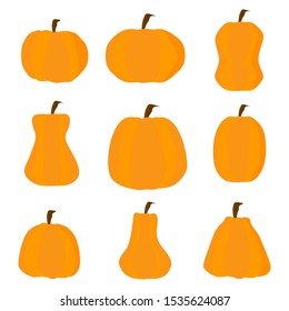 Pumpkin icons set ,for halloween. Closeup squash, vegetable.Pumpkin cartoon colorful icons, color vector.- White background (vector style)