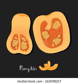 Pumpkin illustration. 