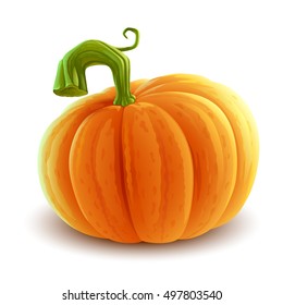 pumpkin illustration