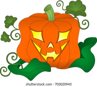 Pumpkin illustration