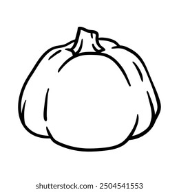 Pumpkin illustration. Autumn harvest of ripe vegetable.