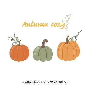 Kürbis-Illustration. Herbstgrafik mit Kürbissen für Postkarten, Poster, Dekoration, Werbung.
