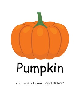 Pumpkin illustration flat vector. Vegetables flashcard. Element for kitchen, cooking, super market, healthy lifestyle concept