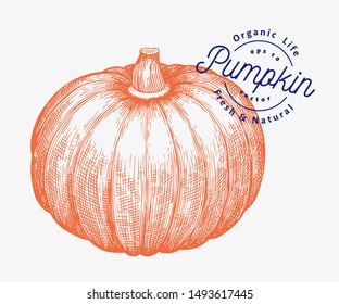 Pumpkin illustration. Hand drawn vector vegetable illustration. Engraved style Halloween or Thanksgiving Day symbol. Retro food illustration.