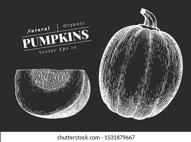 Pumpkin illustration. Hand drawn vector vegetable illustration on chalk board. Engraved style Halloween or Thanksgiving Day symbol. Retro food illustration.