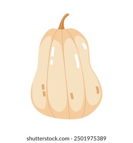 pumpkin illustration isolated on white