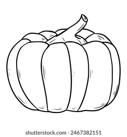 pumpkin illustration outline isolated vector
