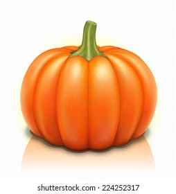 Pumpkin Illustration >Part 1/3< Whole 