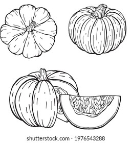 pumpkin illustration set for Halloween