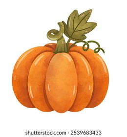 Pumpkin illustration vector, orange pumpkin clip art in hand drawn watercolor painting style, cute pumpkin squash fruit image