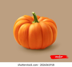 Pumpkin isolated. 3d realistic vector illustration of pumpkin