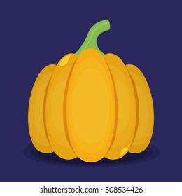 Pumpkin isolated on background. Flat vector.