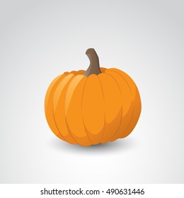 Pumpkin isolated on neutral background. Vector art.