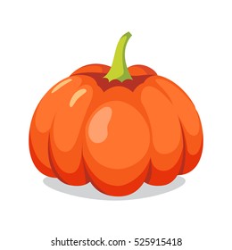 Pumpkin Isolated on White.