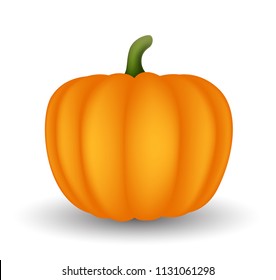 Pumpkin isolated on white background