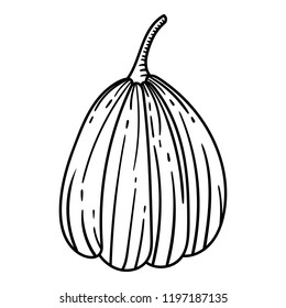 Pumpkin Isolated on White Background. Hand Drawn Cartoon Pumpkin Ink Sketch. Vector illustration for Halloween or Thanksgiving. Engraving Retro Style