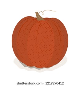 Pumpkin isolated on a white background