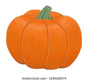 Pumpkin isolated on white background. Hand drawn style. Vector illustration.